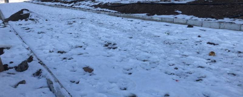 道路积雪清理有几种办法 清除道路积雪活动方案
