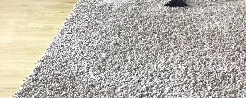 地毯可以用洗衣机洗吗（洗衣机可以洗地毯么）