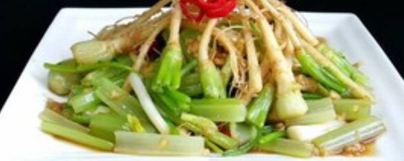 菜根香的做法（菜根香的做法窍门）
