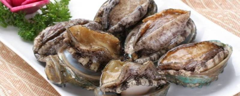 鲜活鲍鱼怎么保存（鲜活鲍鱼如何保存）