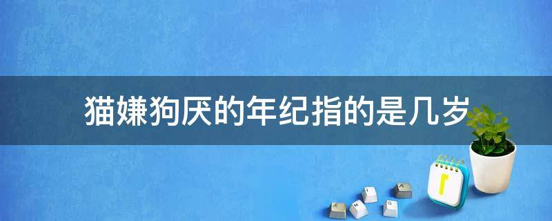 猫嫌狗厌的年纪指的是几岁 猫狗都嫌弃的年龄叫什么
