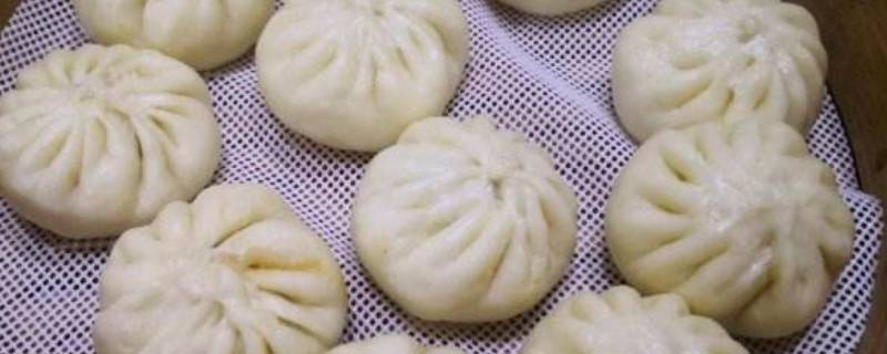 学做包子到哪里 哪里可以学做包子早点