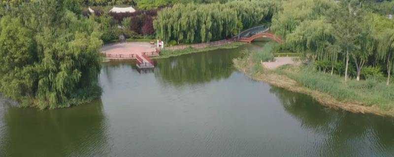 鹿泉是市还是区（鹿泉区属于哪个城市）