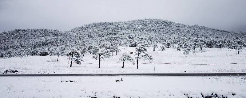 看雪去哪个城市（可以看雪的城市）