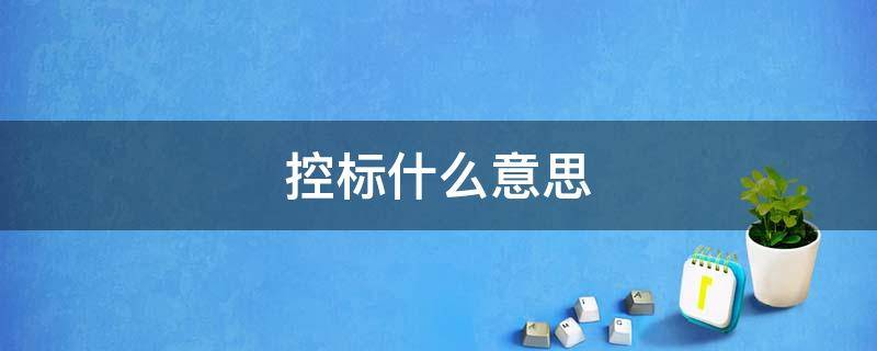 控标什么意思 招投标控标是什么意思