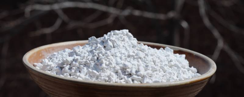 淀粉由什么组成（淀粉的组成）