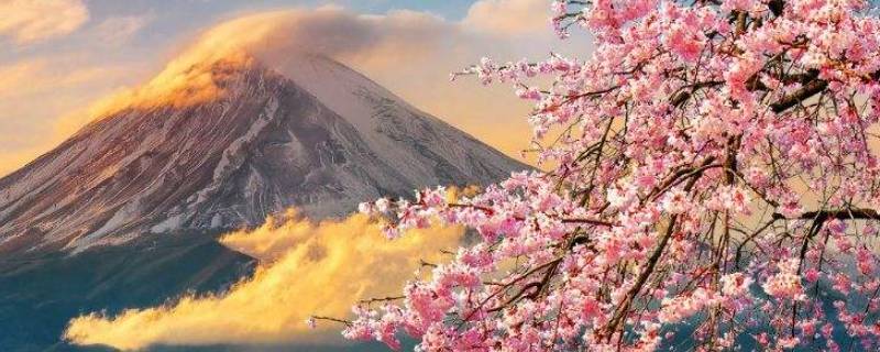 日本面积多大（日本面积多大平方米）