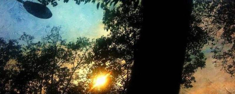 当往事浮现恍然如梦一场是什么意思 当往事浮现恍然如梦一场歌词