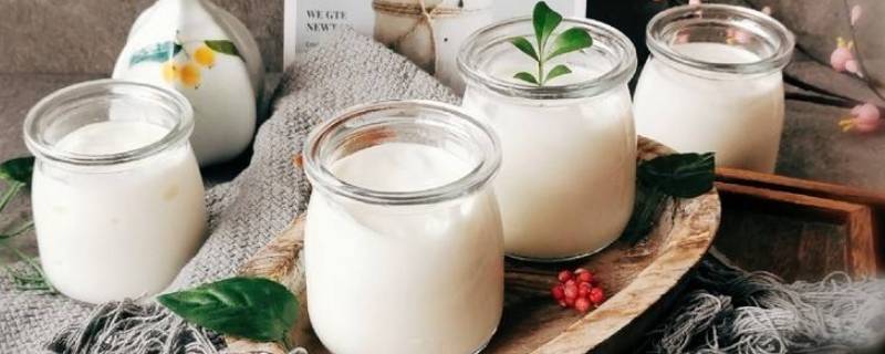 三个字的酸奶品牌大全 炒酸奶名字大全