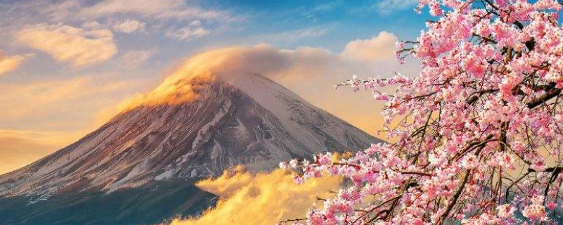 日本的X和圈什么意思（日本圈圈是什么意思）