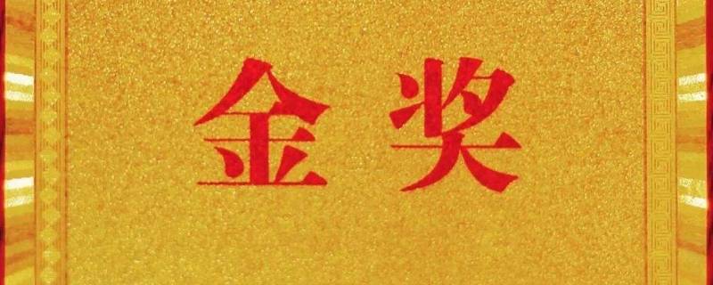 珠海个人志愿服务金奖怎么得来（珠海市志愿者）