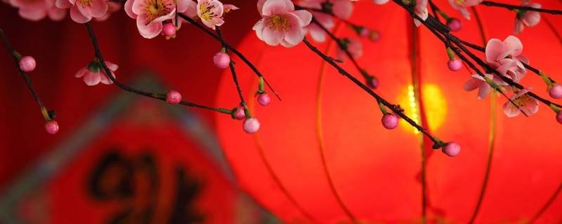 新年298谜底什么意思（新年的谜语）