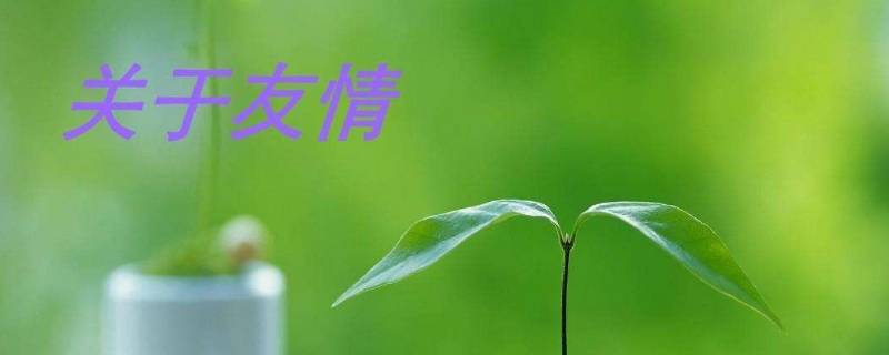 一起变美下一句是什么（大家一起变美怎么说）