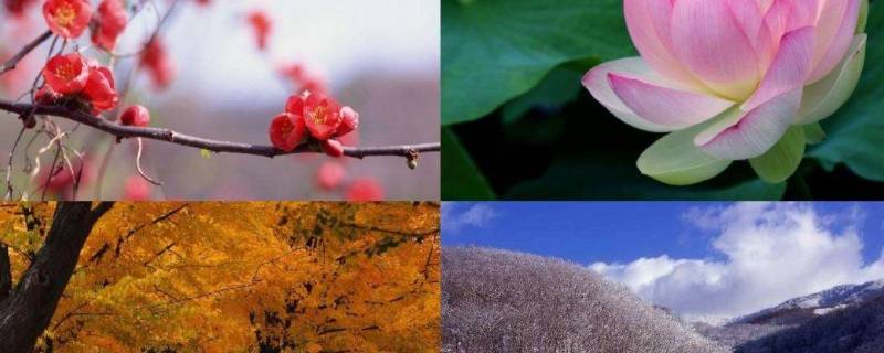 我是你的四季限定下一句 请允许我成为你的四季限定下一句