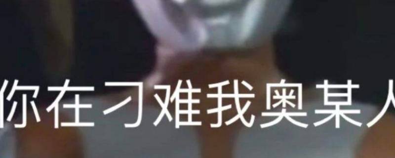 你在刁难我奥某人什么意思（你这是在刁难我）
