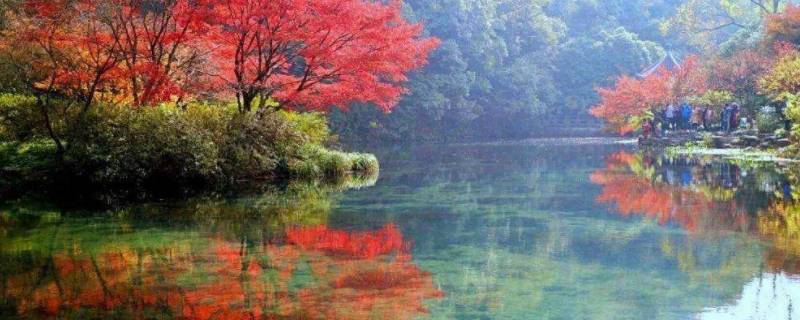 高高下下树的上一句 什么高高下下树