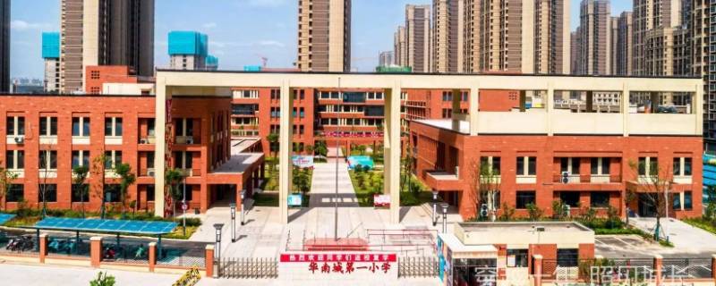 新郑市子产路小学面积（新郑市子产路小学在哪里）