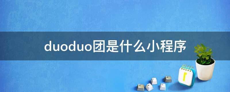 duoduo团是什么小程序