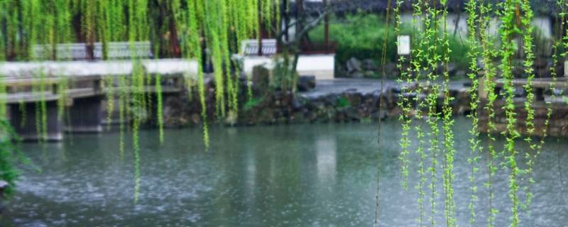 春雨夏天秋分大寒哪个词不是同类
