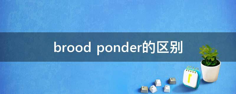 brood ponder的区别