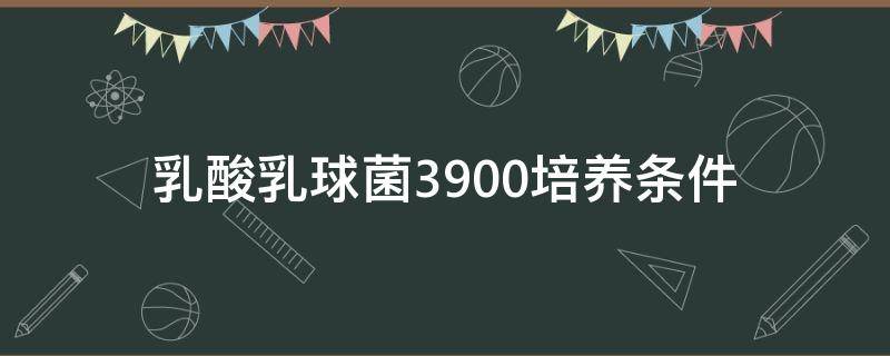 乳酸乳球菌3900培养条件 350乳酸菌