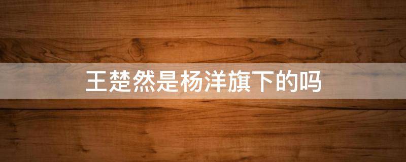 王楚然是杨洋旗下的吗 王楚然是杨洋旗下的吗是什么