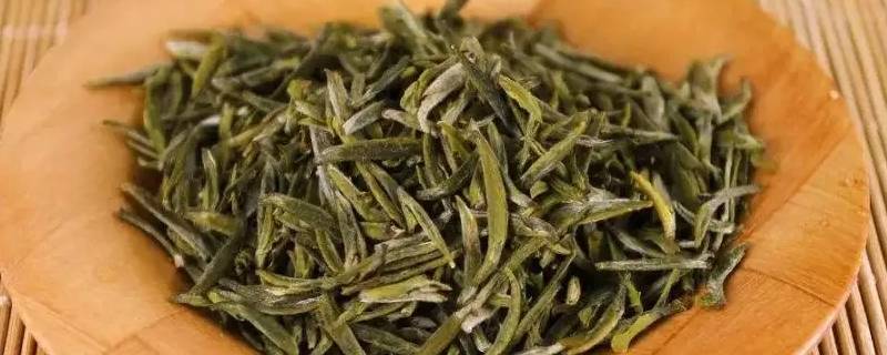 芽茶和毛尖哪个贵 芽茶和毛尖哪个贵些
