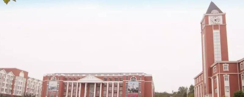 重庆小学三年级还搞素养测评吗 重庆市中小学生素质评价
