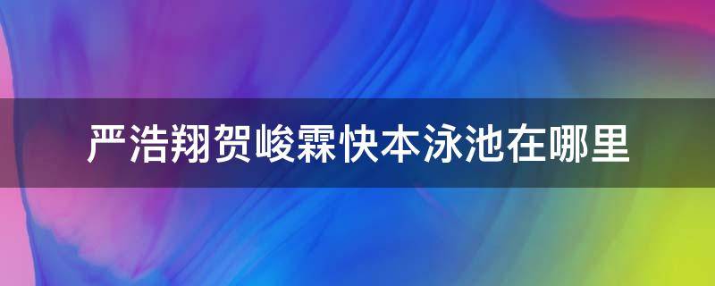 严浩翔贺峻霖快本泳池在哪里（严浩翔贺峻霖快本图片）