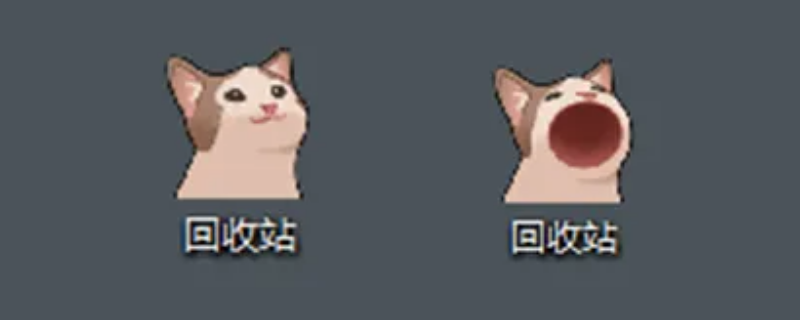 回收站小猫是谁做的 回收小猫的联系方式