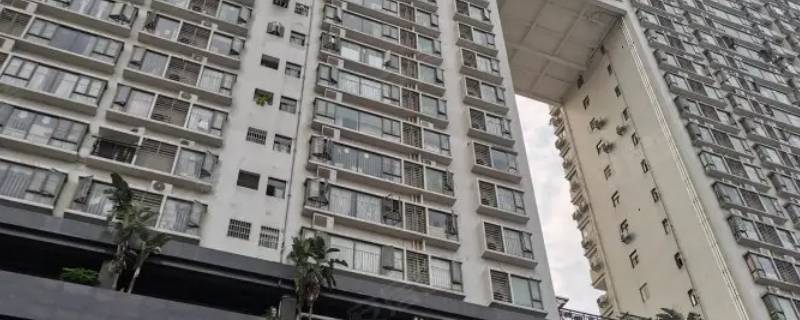 凤乐雅轩为什么便宜 雅乐轩价格