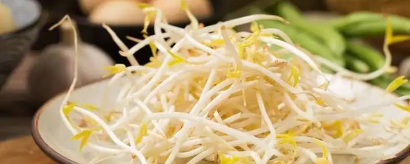 为什么发黑豆芽有种腐乳的味道（黑豆芽发苦怎么回事）