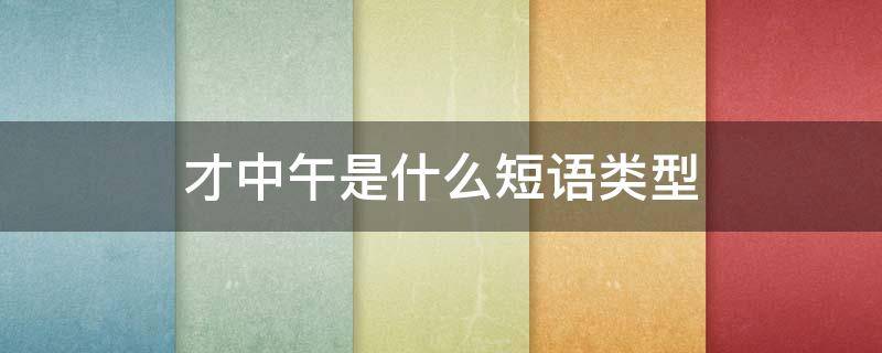才中午是什么短语类型 每天上午是什么短语类型