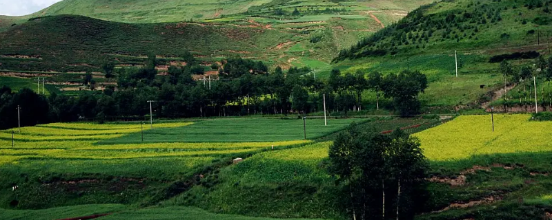 河湟地区比较著名的两市五县（河湟地区比较著名的两市五县是什么）