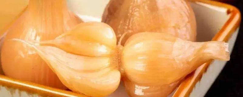 马牙子蒜种在哪里能买到 狗牙蒜种子在哪里购买