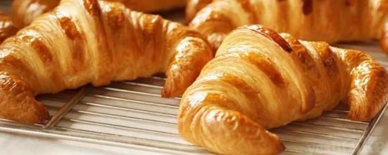 鲁邦种辣辣的是怎么回事