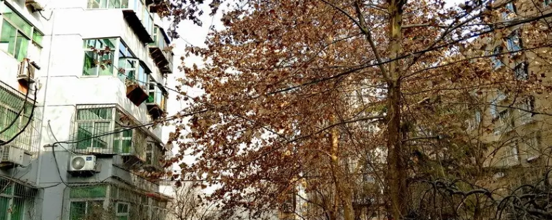 石家庄银宏花苑是学区房吗（石家庄银宏花苑是学区房吗）