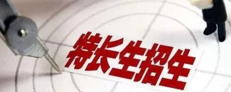 东莞东华艺术特长生有用吗 东莞东华艺术特长生,一年学费多少