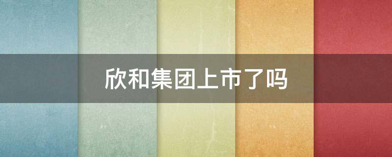 欣和集团上市了吗（欣和控股国际有限公司是上市公司吗?）