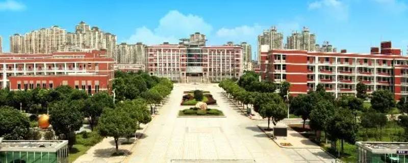 天一少年班录取会通知吗（天一少年班如何报名）