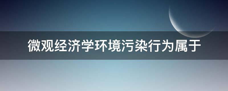 微观经济学环境污染行为属于 经济环境属于微观环境吗