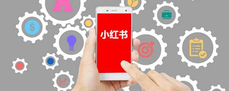小红书评论被吞多久恢复（小红书评论被吞多久恢复回来）
