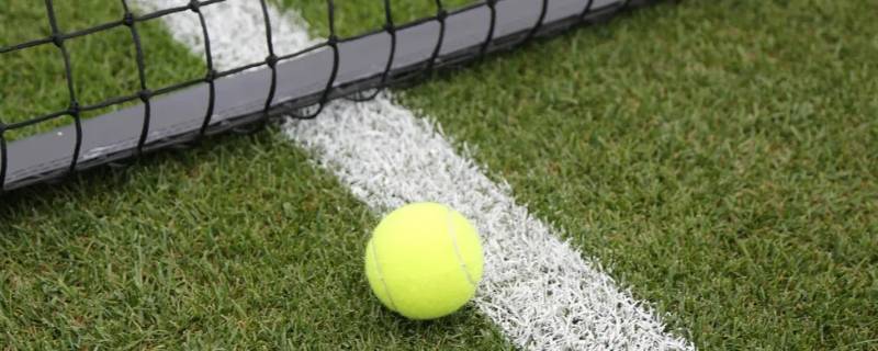 基里奥斯为啥叫椰子（椰子是谁的）