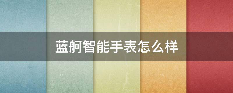 蓝舸智能手表怎么样