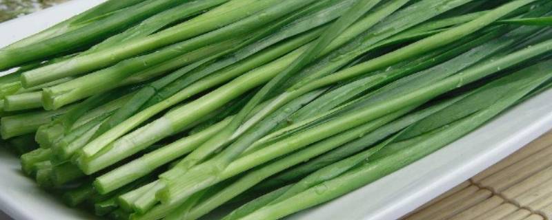 韭菜在地质工作者口中的含义是