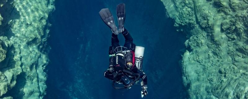 塞蒂纳河泉有鱼吗（塞纳河的鱼）