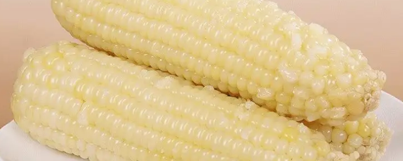 粘玉米掐不动了是不是老了（糯玉米掐不动是老了吗）