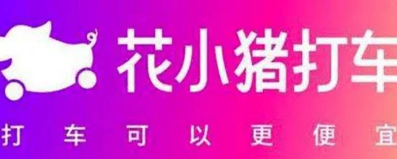 花小猪新人5折怎么用（花小猪新人优惠）