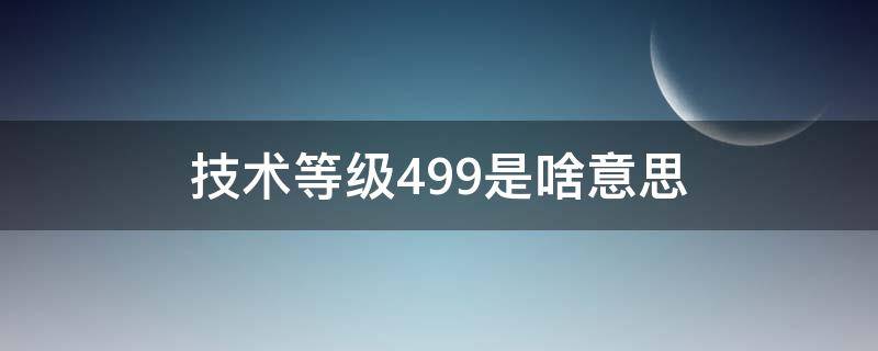 技术等级499是啥意思 技术等级是什么