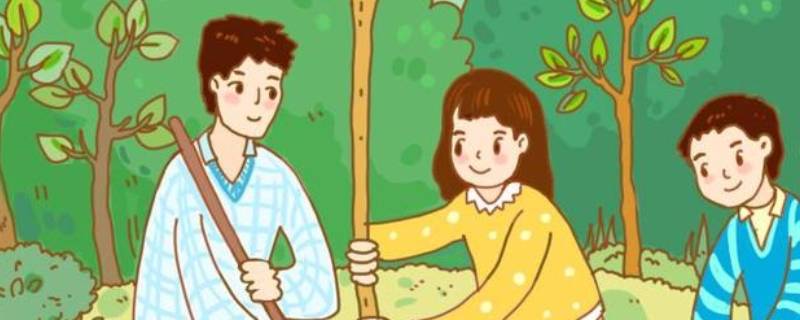 认养植树面积什么意思（认养树是什么意思）